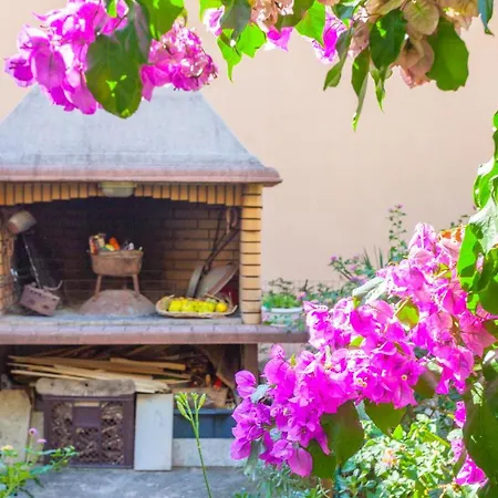 Garden & Makarska