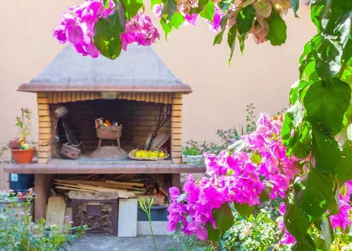 Garden & Μακάρσκα